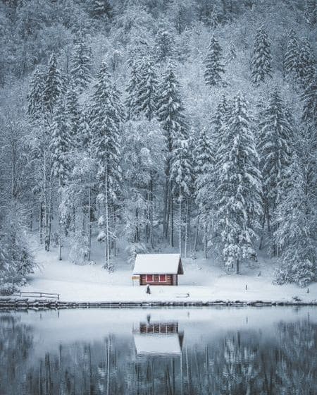 winter-image