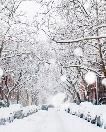 winter-image